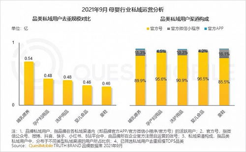 中国移动互联网发展启示录 二